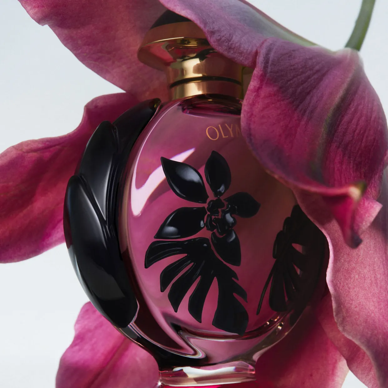 Olympea Flora EDP Intense