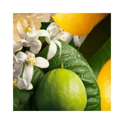 Orange & Bergamot Hand Lotion
