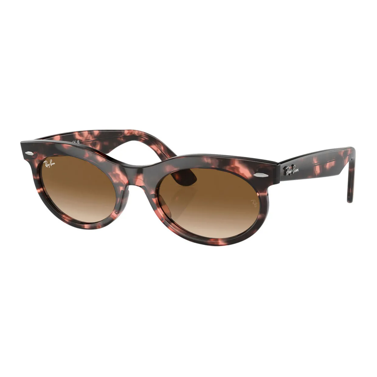 Oval Sunglasses RB2242 Wayfarer Oval