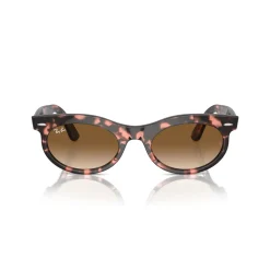 Oval Sunglasses RB2242 Wayfarer Oval