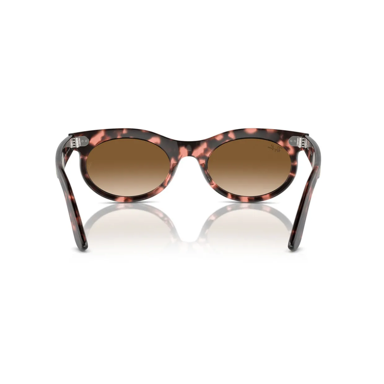 Oval Sunglasses RB2242 Wayfarer Oval