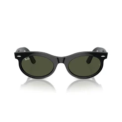 Oval Sunglasses RB2242 Wayfarer Oval