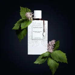 Online VAN CLEEF & ARPELS Patchouli Blanc EDP