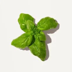 Hot ORIGINS Peace Of Mind™ Moisturising Hand Cream