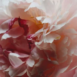 Peony and Blush Suede Diffuser Refill