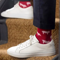 Pig Socks