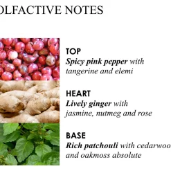 Best MOLTON BROWN Pink Pepperpod Body Wash