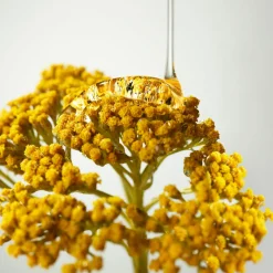 Hot ORIGINS Plantscription Wrinkle Correction Eye Cream with Encapsulated Retinol