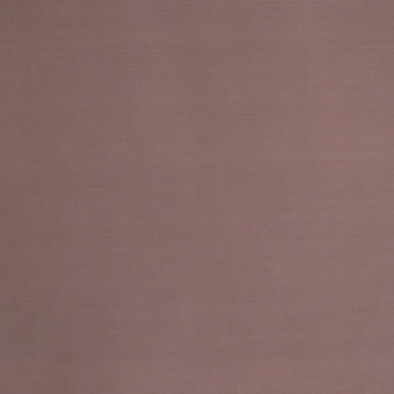 Clearance MEY Poetry Tempt Camisole Top