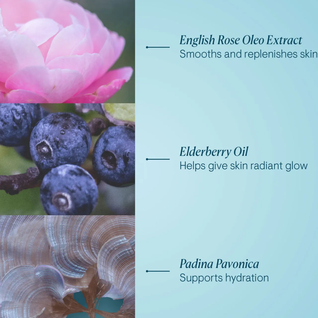 Sale ELEMIS Pro-Collagen Rose Cleansing Balm - Mini