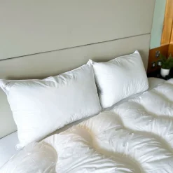 Pure Comfort Anti-Allergy Firm Support Pillow Pair