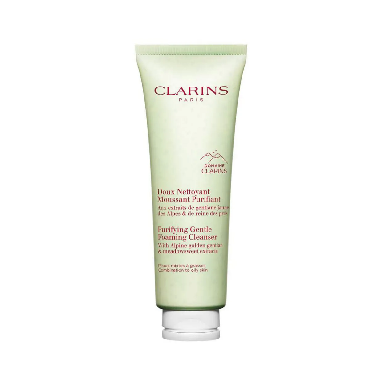 Purifying Gentle Foaming Cleanser