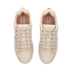 Rapid Striped Lace-Up Trainers