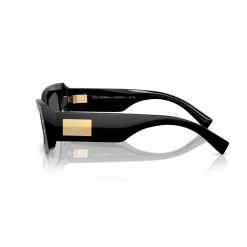 Rectangle Sunglasses DG4479