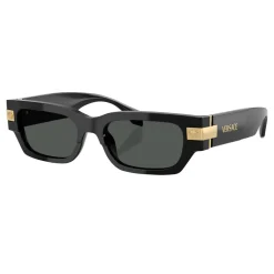 Rectangle Sunglasses VE4465