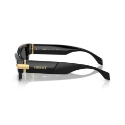 Rectangle Sunglasses VE4465