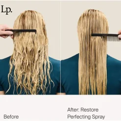 Restore Perfecting Spray FS