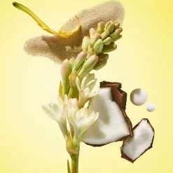 Rio Radiance Body Lotion SPF 50