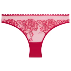 Romance Embroidered Briefs