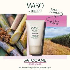 Satocane Pore Purifying Scrub Mask
