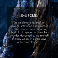 Discount DIOR Sauvage Eau Forte Parfum