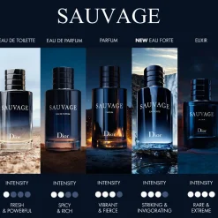 Best DIOR Sauvage Parfum