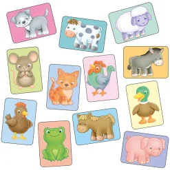 Clearance ORCHARD TOYS See & Sound Giant Flashcards