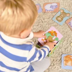 Clearance ORCHARD TOYS See & Sound Giant Flashcards