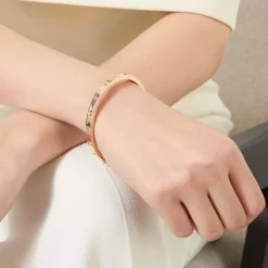 Set In Stone Hinged Bangle