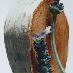 Silver Birch & Lavender Cologne