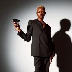 Six-Piece New Year Firework Martini Glass Set