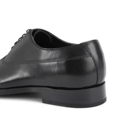 Sloane Oxfords