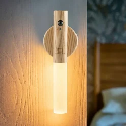 Online GINGKO Smart Baton Light