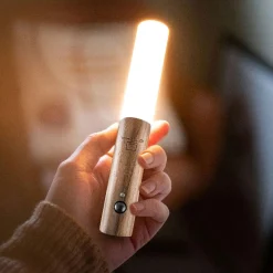 Best GINGKO Smart Baton Light