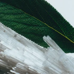 Special-Edition Wood Sage & Sea Salt Cologne