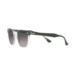 Square Sunglasses RB2298