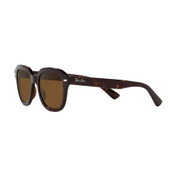 Square Sunglasses RB4398