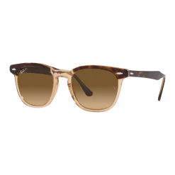 Discount RAY-BAN Square Sunglasses RB2298