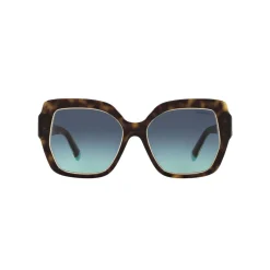 Square Sunglasses TF4183