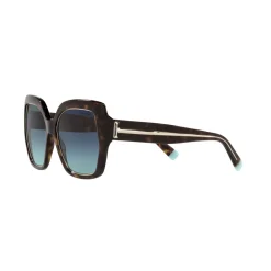 Square Sunglasses TF4183