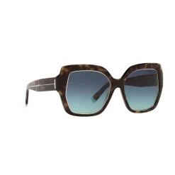 Square Sunglasses TF4183