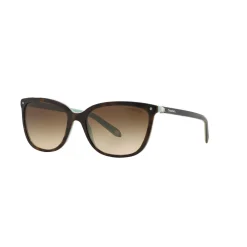 Square Sunglasses TF4105HB