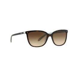 Square Sunglasses TF4105HB