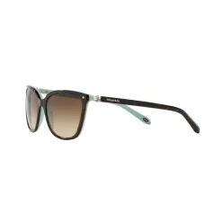 Square Sunglasses TF4105HB