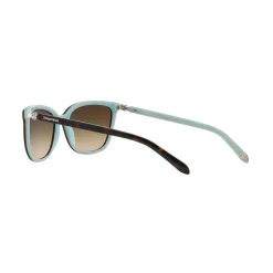 Square Sunglasses TF4105HB