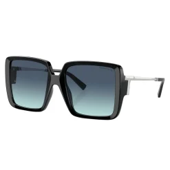 Square Sunglasses TF4212U