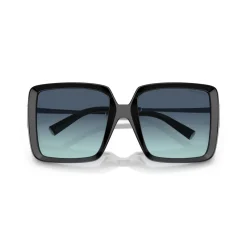 Square Sunglasses TF4212U