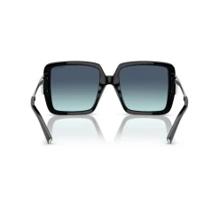 Square Sunglasses TF4212U