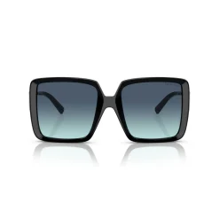 Square Sunglasses TF4212U