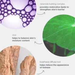 Stabilizing Repair Cream